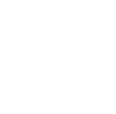 甦る美しさ 時空を超えつながる