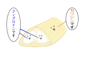 セリシンとフィブロイン