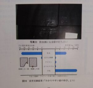 織物の虫害