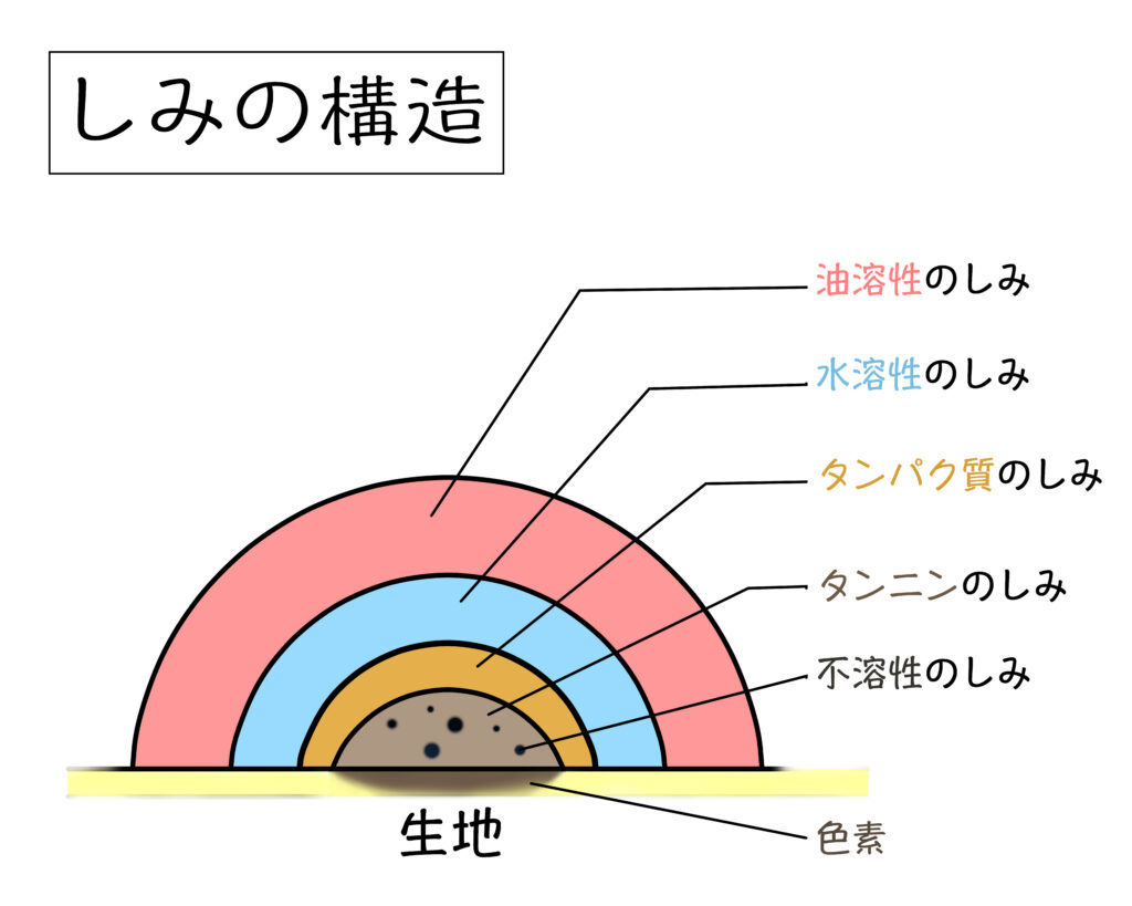 シミの構造