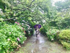 雨の日の着物